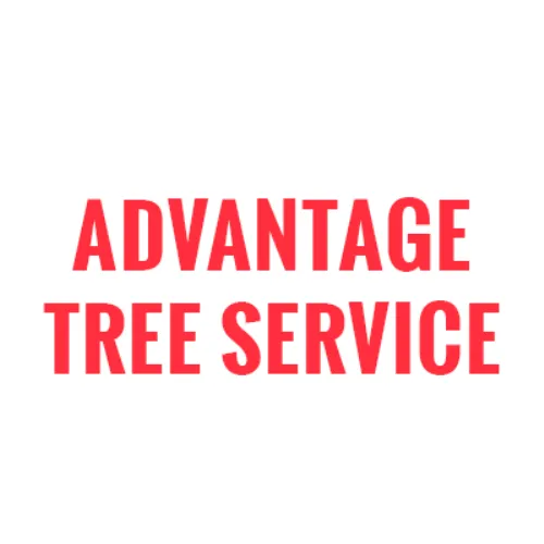 Top-rated outdoor landscaping for beautiful yards across Charleston, IL - Advantage Tree Service