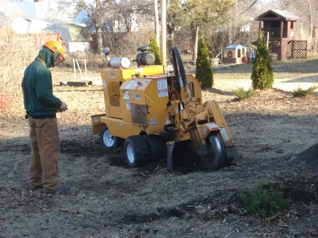 Top-rated residential landscaping for residential properties across Delmar, NY - Advantage Tree Service
