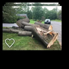 Trusted landscaping services in Delmar, NY - Advantage Tree Service