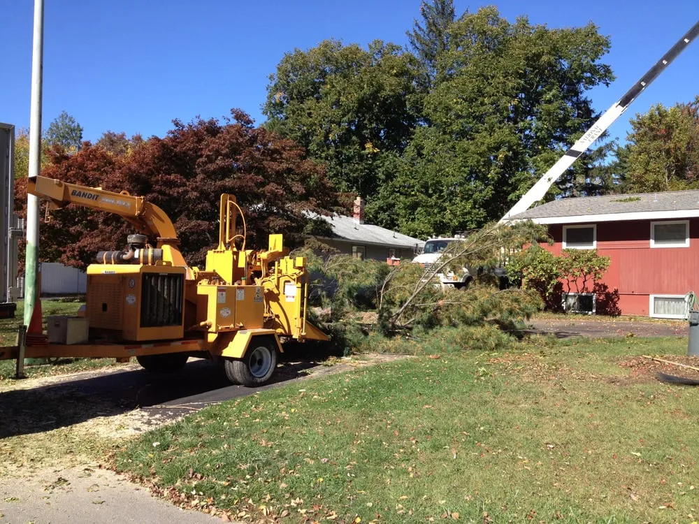 Trusted landscape installation in Delmar, NY by Advantage Tree Service