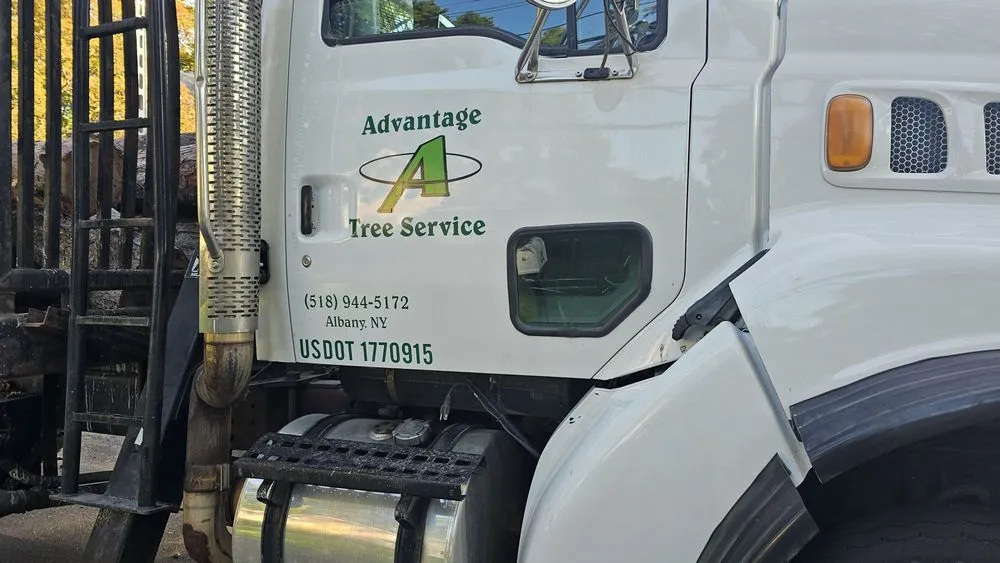 Top-rated lawn mowing service in Delmar, NY - Advantage Tree Service