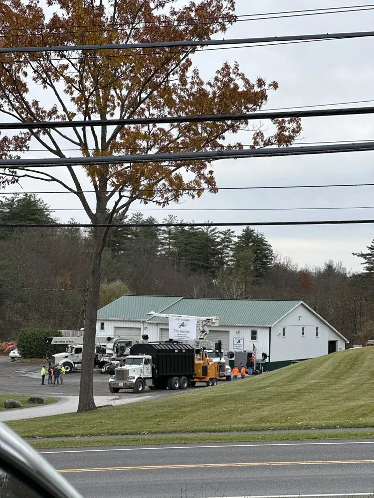 Trusted outdoor landscaping for residential properties in Delmar, NY by Advantage Tree Service