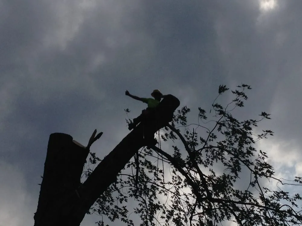 Local garden landscaping experts serving Delmar, NY - Advantage Tree Service