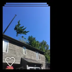 Affordable residential landscaping with custom design across Delmar, NY - Advantage Tree Service