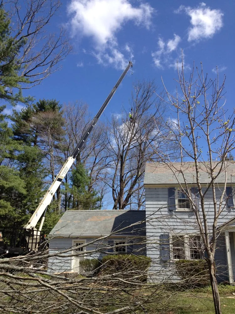 Local residential landscaping for outdoor upgrades across Delmar, NY - Advantage Tree Service