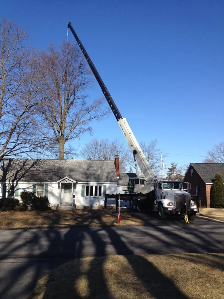 Affordable yard maintenance experts serving Delmar, NY - Advantage Tree Service