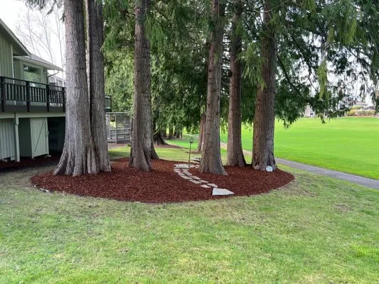 Advantage Yard Care Logo