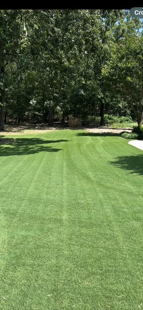 Reliable landscape installation in Tuckerman, AR by AdvantageLawn & ChemCare of Arkansas