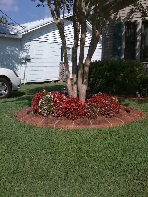 Trusted yard cleanup service experts serving Lafayette, LA - AdvantEDGE