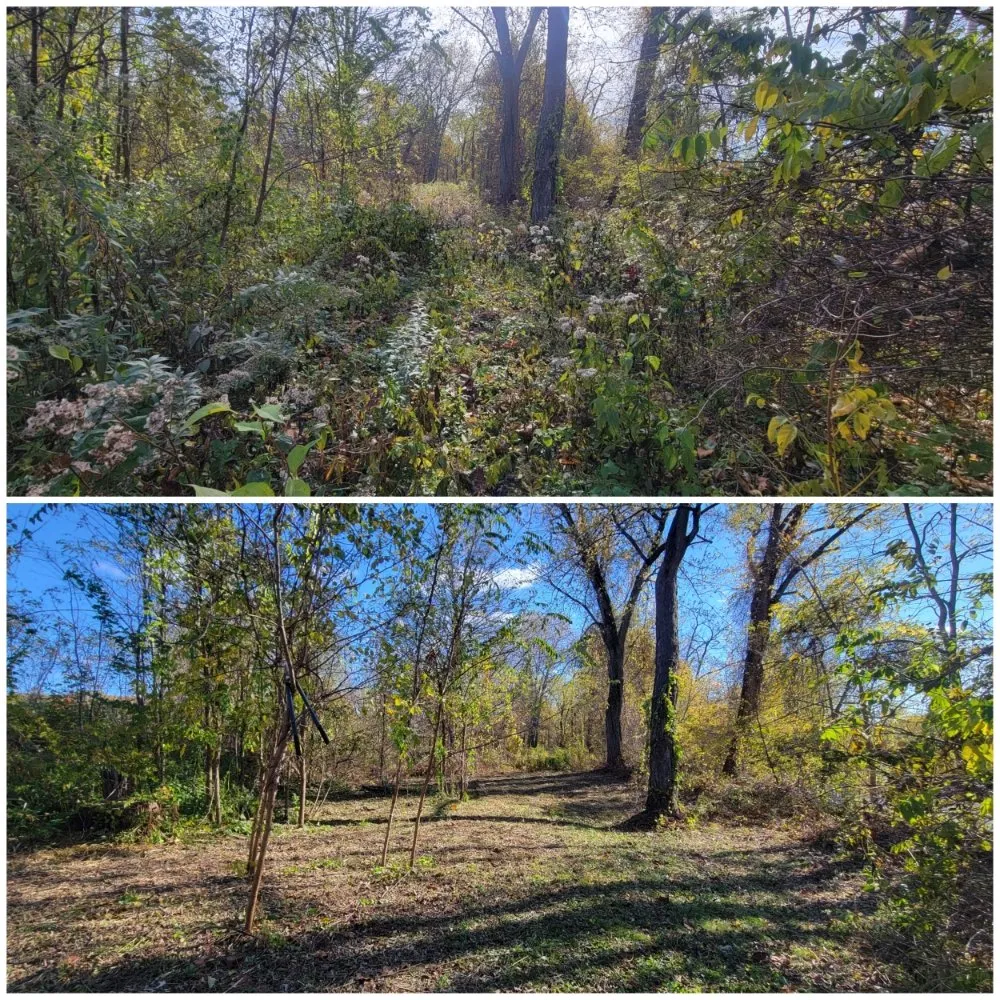 Expert landscaping services for homes across Turners Falls, MA - Adventure Time Landscape