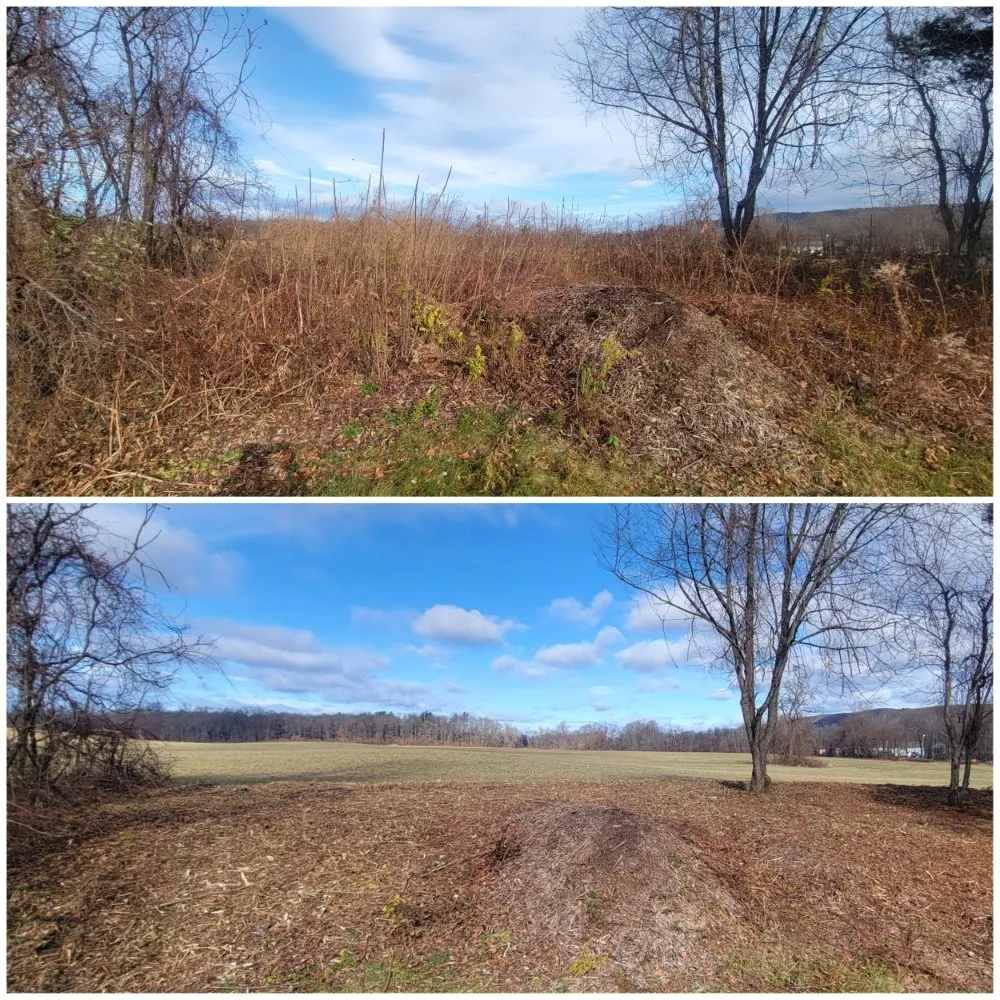 Top-rated landscaping services for beautiful yards in Turners Falls, MA by Adventure Time Landscape