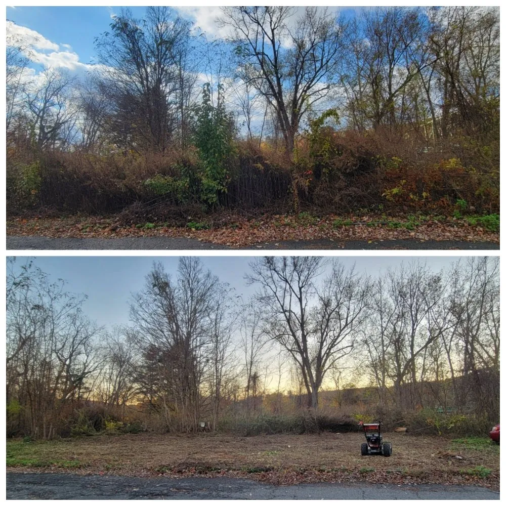 Local landscaping services in Turners Falls, MA - Adventure Time Landscape