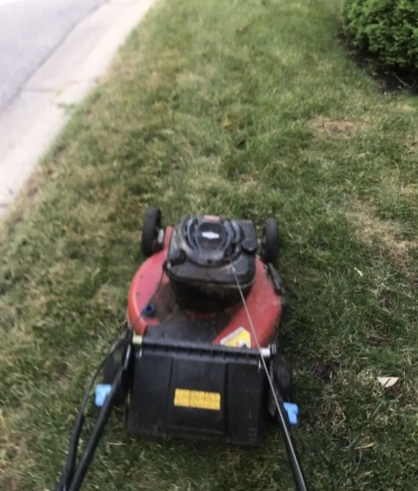 Expert yard cleanup service near you across Indianapolis, IN - Adverse Home Solutions