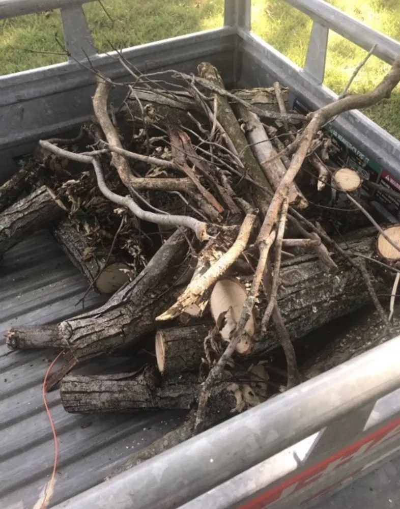 Expert garden landscaping for beautiful yards in Indianapolis, IN by Adverse Home Solutions