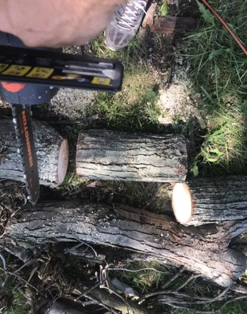 Local garden landscaping for homes across Indianapolis, IN - Adverse Home Solutions