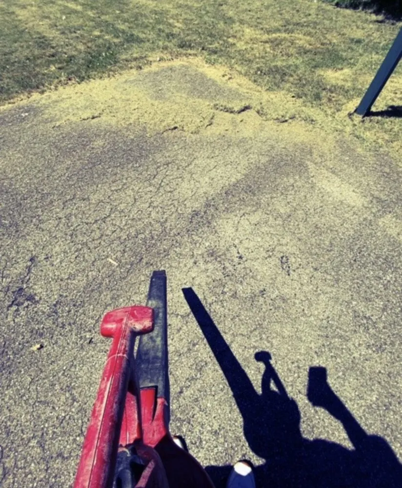 Trusted yard cleanup service for beautiful yards across Indianapolis, IN - Adverse Home Solutions