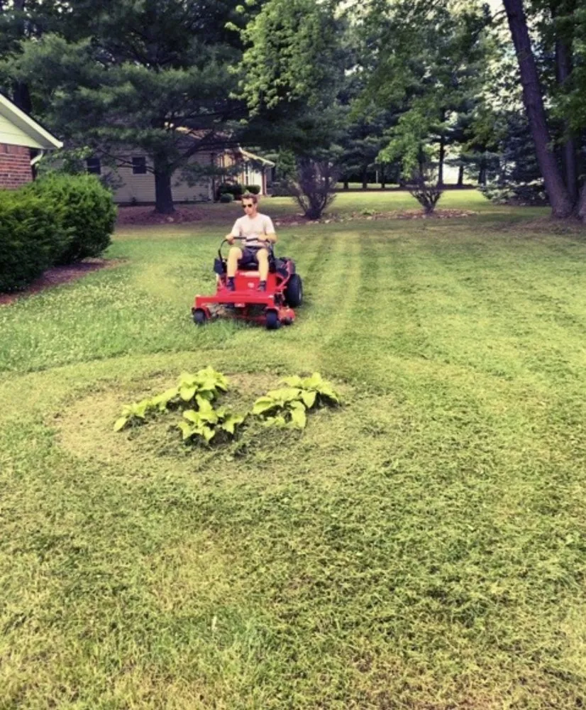 Trusted landscape installation in Indianapolis, IN by Adverse Home Solutions