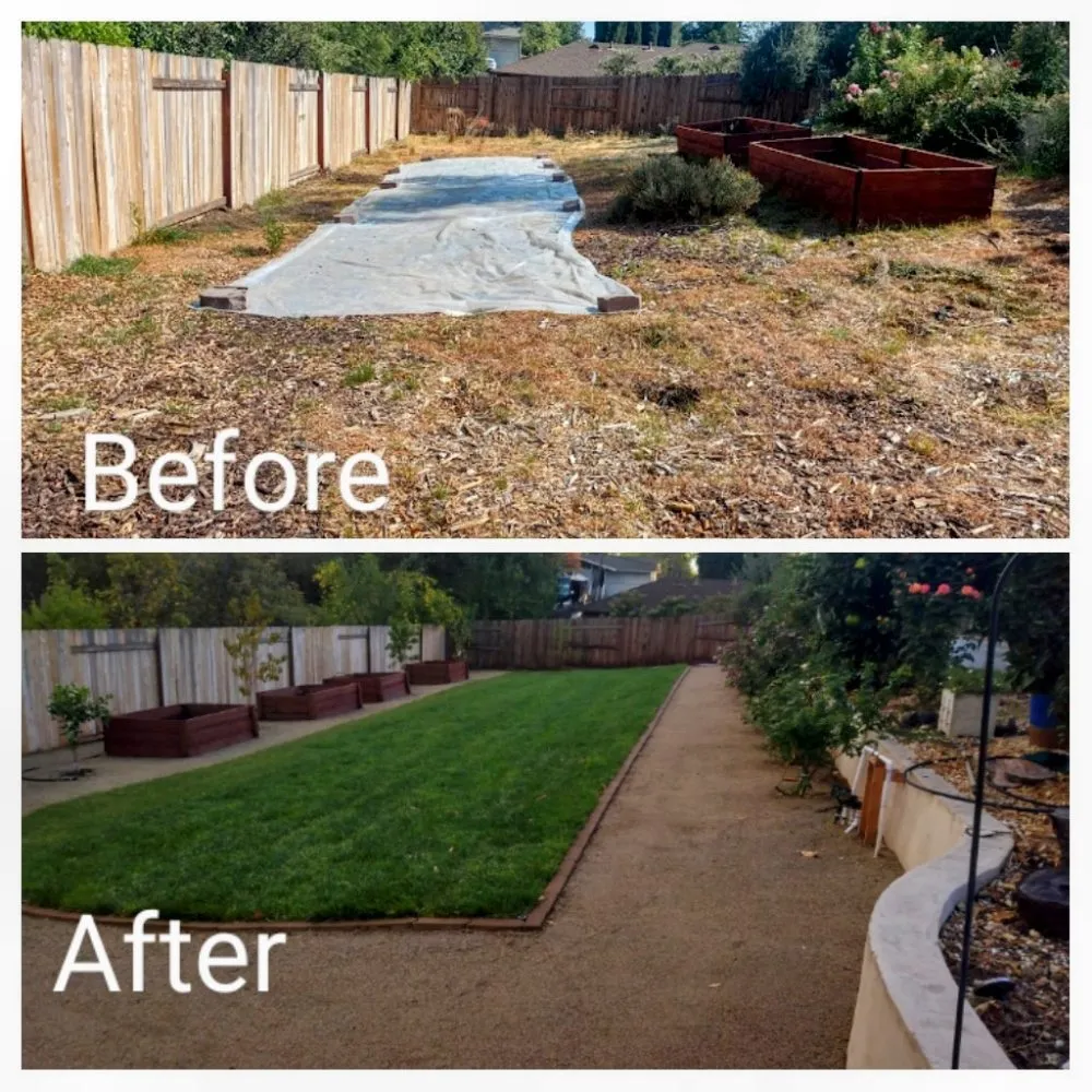 Custom residential landscaping for residential properties across Foothill Farms, CA - ADY Remodeling & Landscape Design