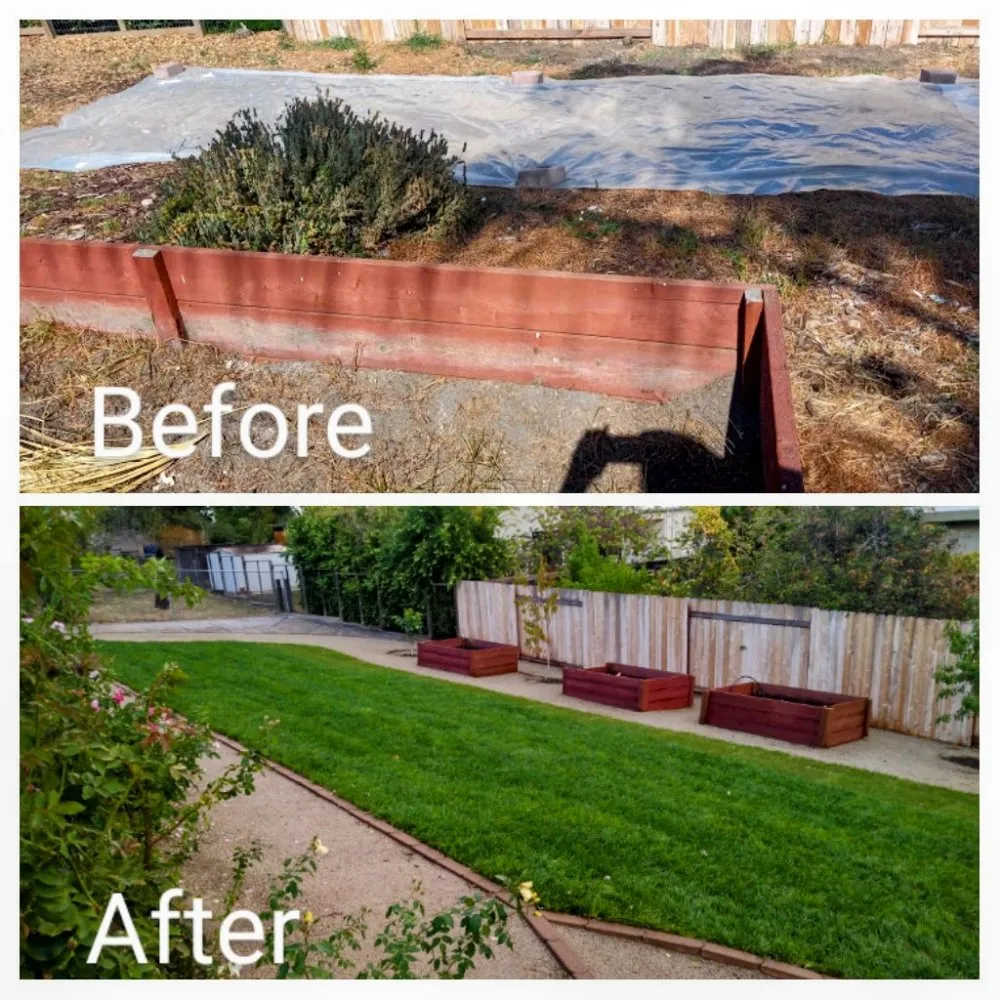Reliable residential landscaping with custom design in Foothill Farms, CA by ADY Remodeling & Landscape Design