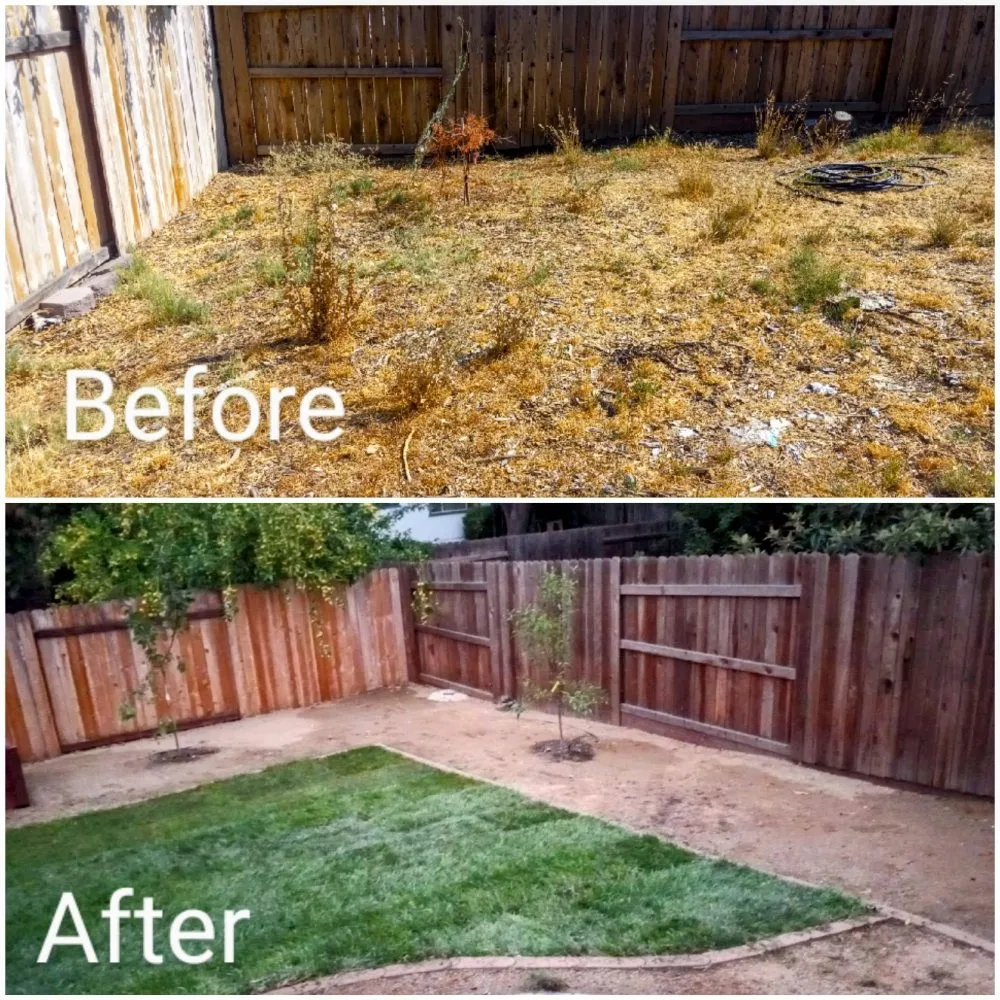 Trusted lawn mowing service experts serving Foothill Farms, CA - ADY Remodeling & Landscape Design