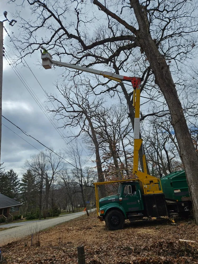 Custom yard cleanup service experts serving Beloit, WI - ADY Tree and Landscaping Services