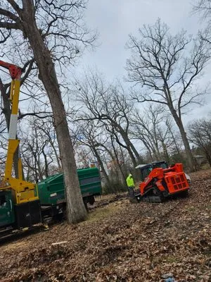 ADY Tree and Landscaping Services Logo