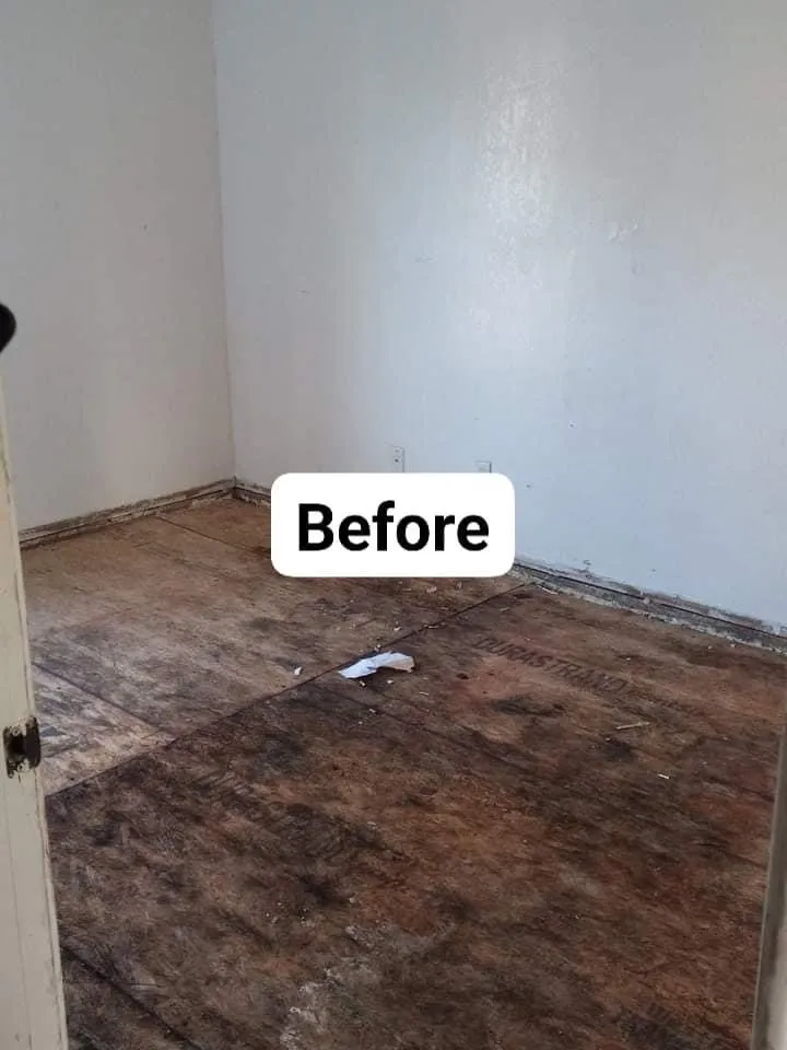 Expert landscape installation for residential properties in Corpus Christi, TX by A&E Construction and More