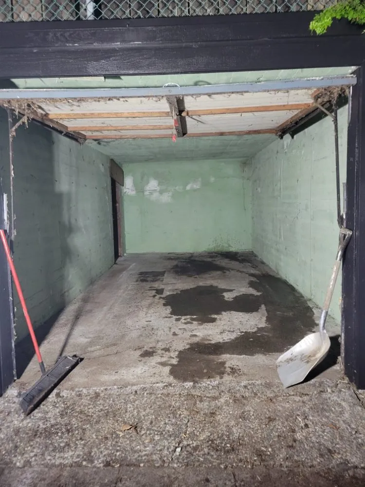 Affordable yard cleanup service in Federal Way, WA by AE Demolition and Construction