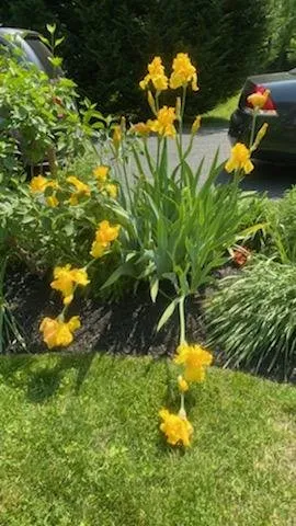 Top-rated garden landscaping in Phoenix, MD - A&E Design Landscape Contractors