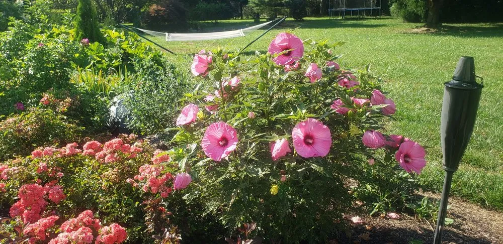 Professional garden landscaping experts serving Phoenix, MD - A&E Design Landscape Contractors