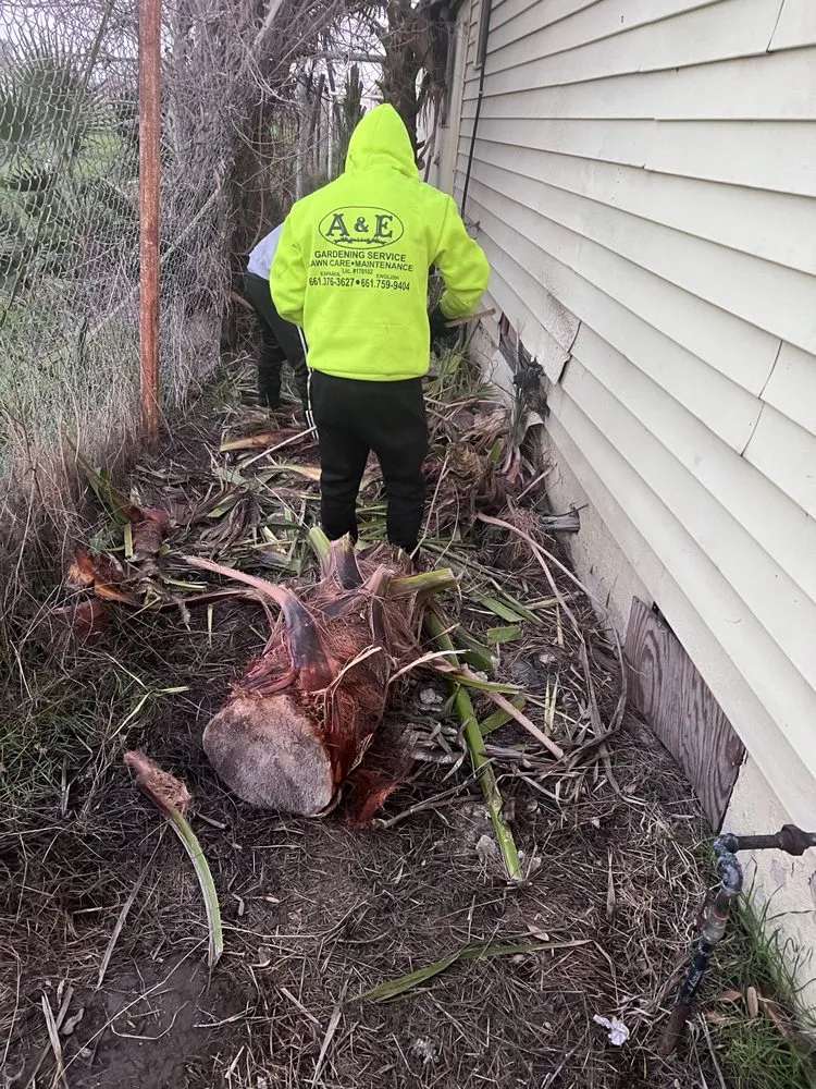 Reliable yard maintenance in Bakersfield, CA by A&E Gardening Service