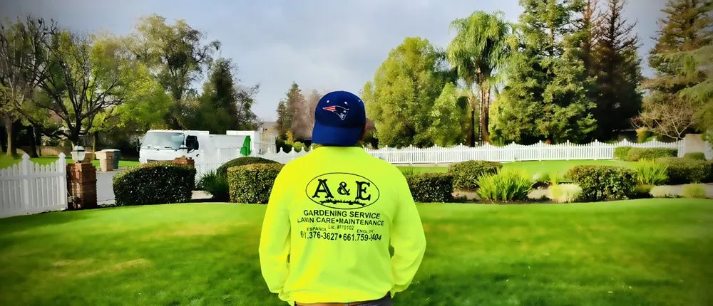 Expert landscape installation for residential properties across Bakersfield, CA - A&E Gardening Service