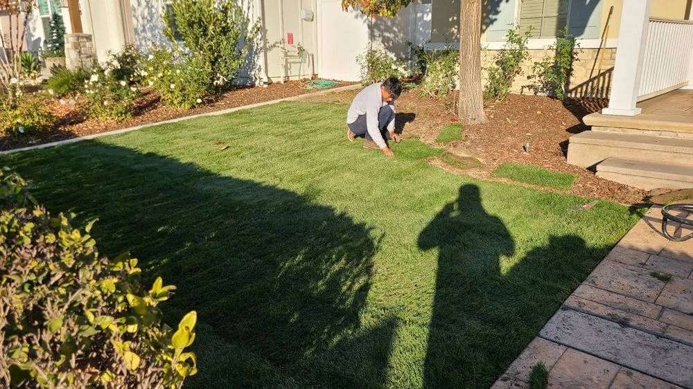 Custom yard maintenance in Bakersfield, CA by A&E Gardening Service