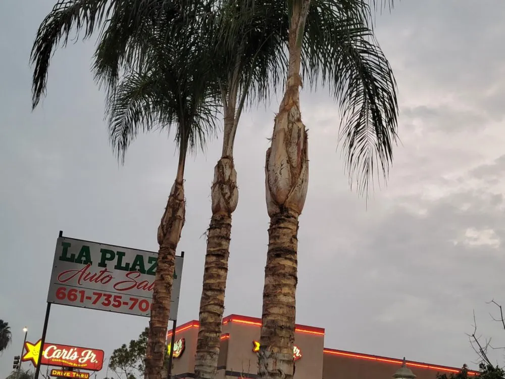 Trusted residential landscaping in Bakersfield, CA - A&E Gardening Service