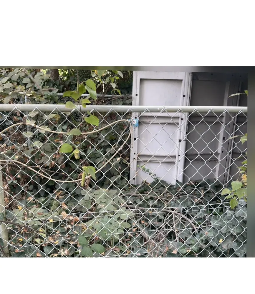 Professional outdoor landscaping in Lockeford, CA by A&E Handyman