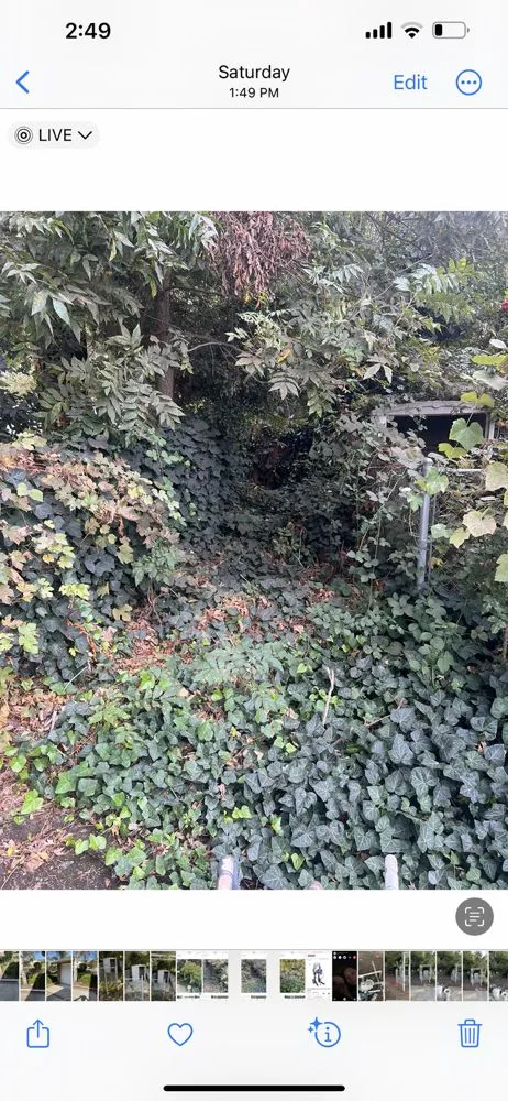 Professional lawn mowing service experts serving Lockeford, CA - A&E Handyman