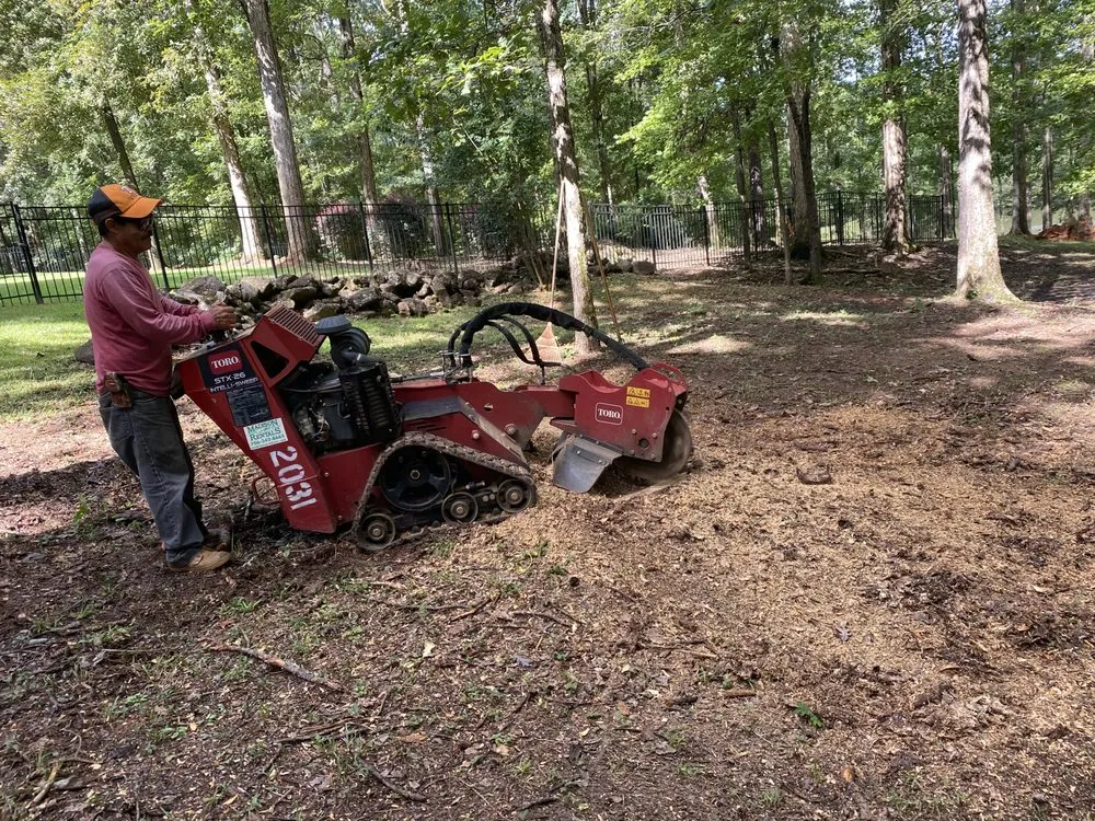 Custom outdoor landscaping near you in Bethlehem, GA by AE Land Management