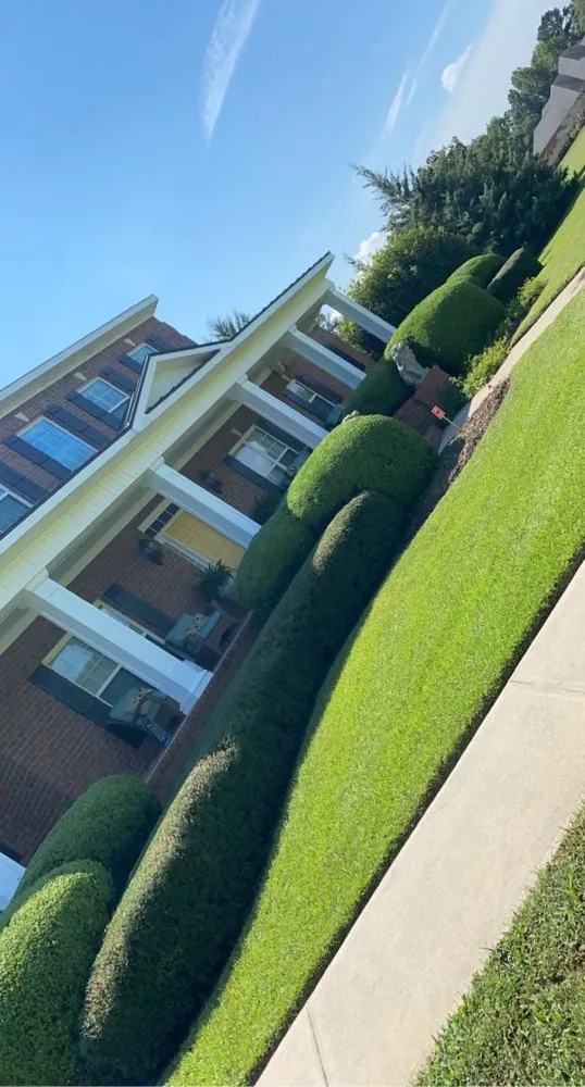 Trusted yard cleanup service for homes across Bethlehem, GA - AE Land Management