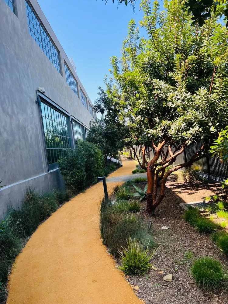 Custom lawn mowing service experts serving North Hollywood, CA - A&E Landscape & Water Solutions