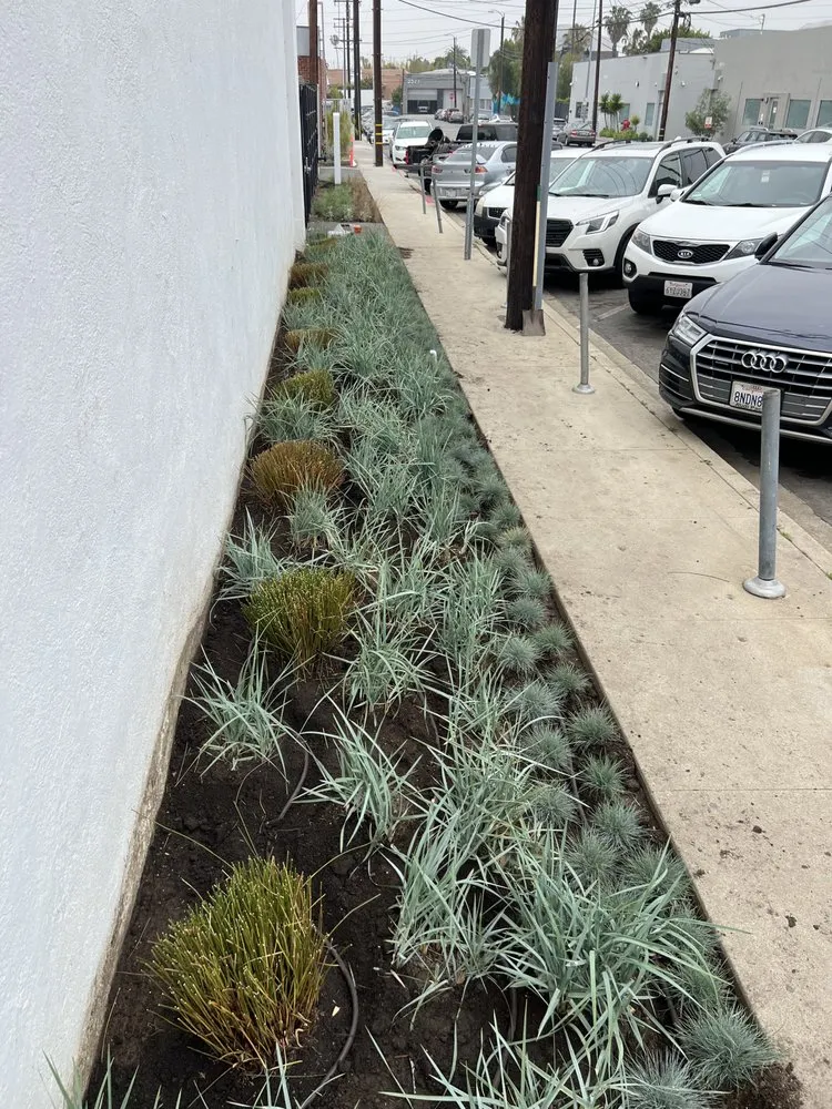 Professional lawn mowing service in North Hollywood, CA by A&E Landscape & Water Solutions