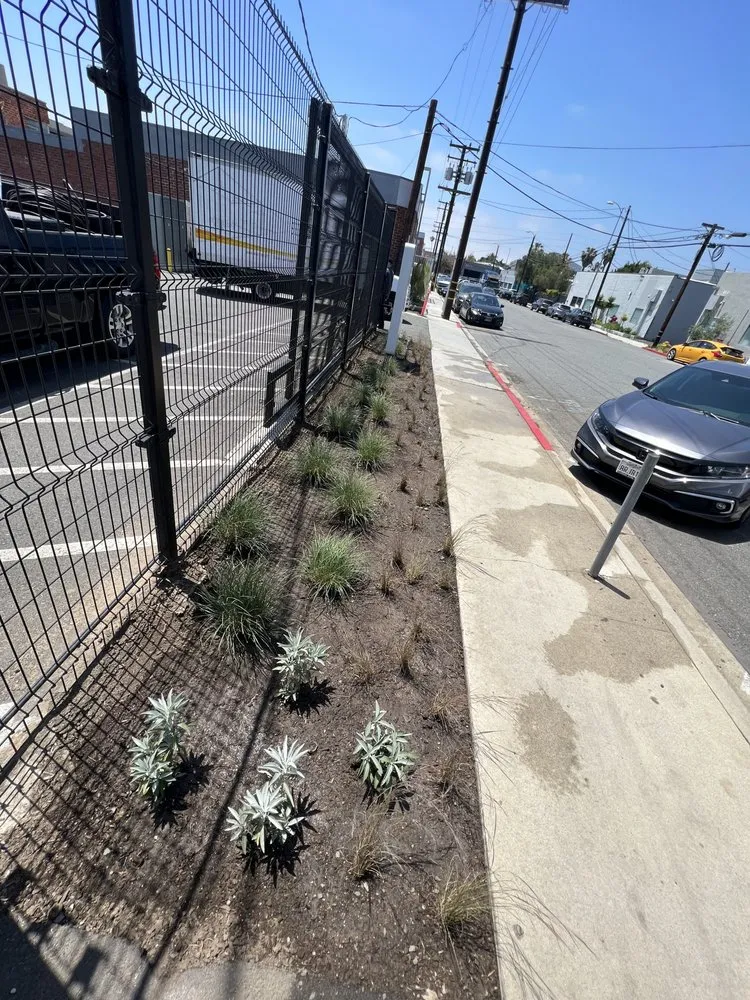 Trusted yard maintenance in North Hollywood, CA - A&E Landscape & Water Solutions