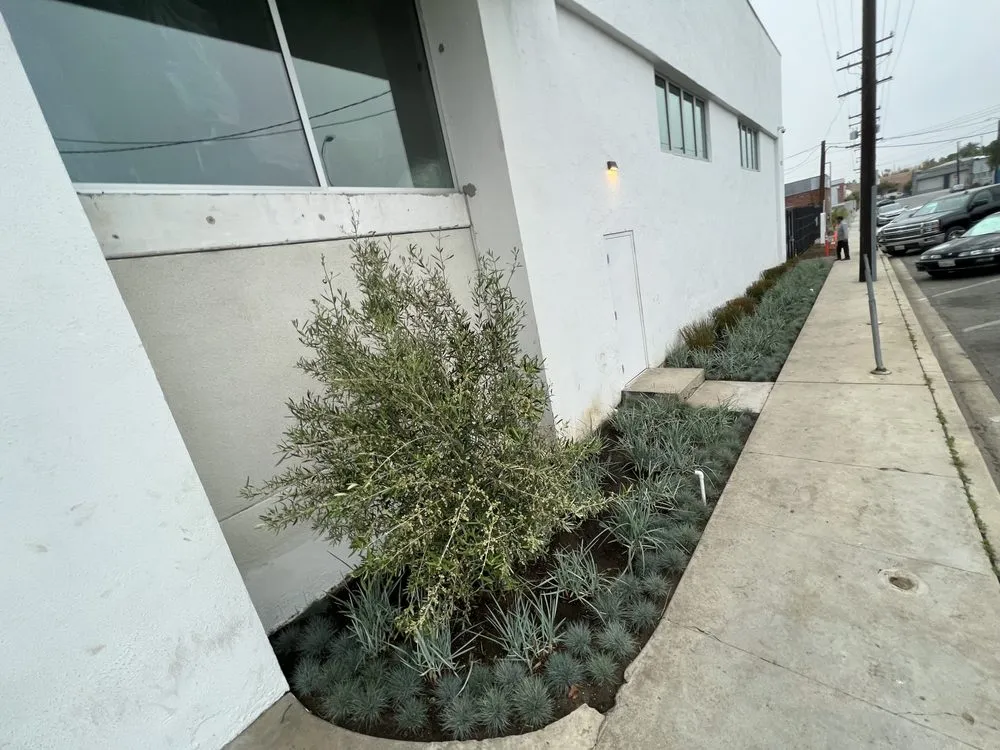 Custom garden landscaping for homes across North Hollywood, CA - A&E Landscape & Water Solutions