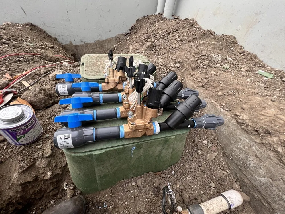 Reliable yard cleanup service in North Hollywood, CA by A&E Landscape & Water Solutions