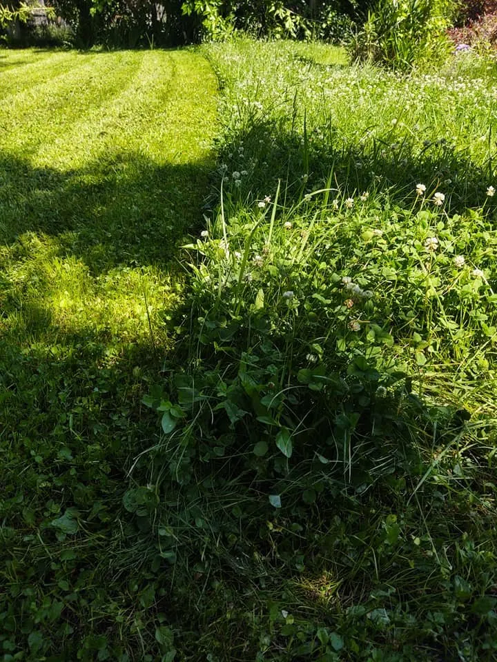 Professional outdoor landscaping experts serving Redding, CA - A&E Landscape and Hauling