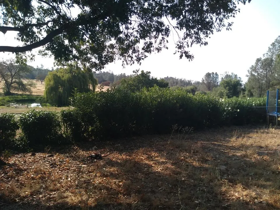 Local residential landscaping experts serving Redding, CA - A&E Landscape and Hauling