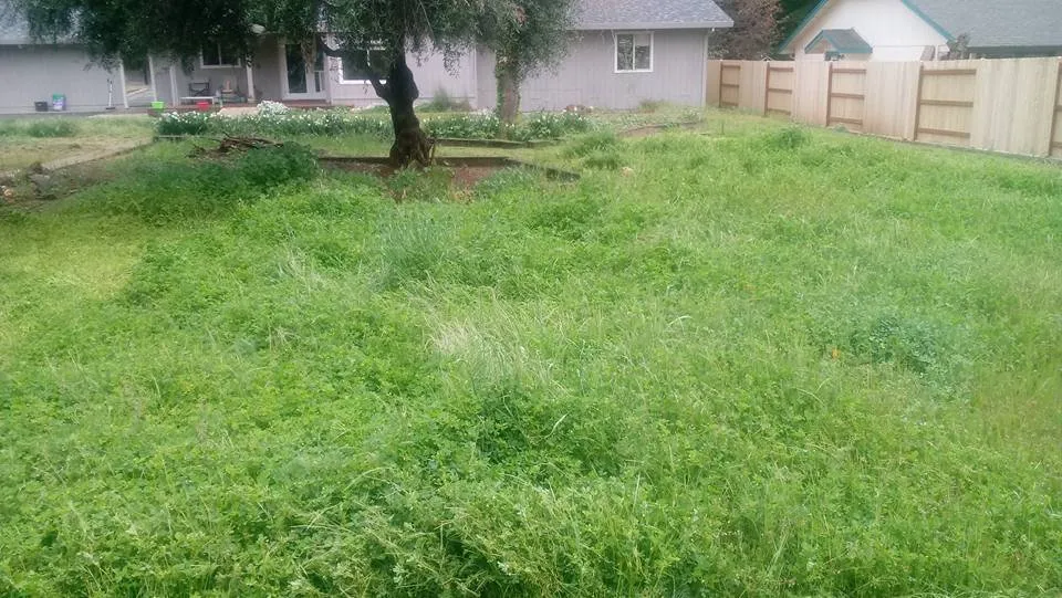 Expert yard cleanup service with custom design in Redding, CA by A&E Landscape and Hauling