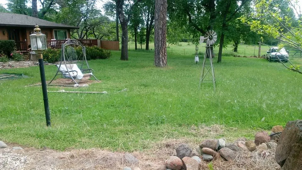 Custom yard cleanup service in Redding, CA by A&E Landscape and Hauling