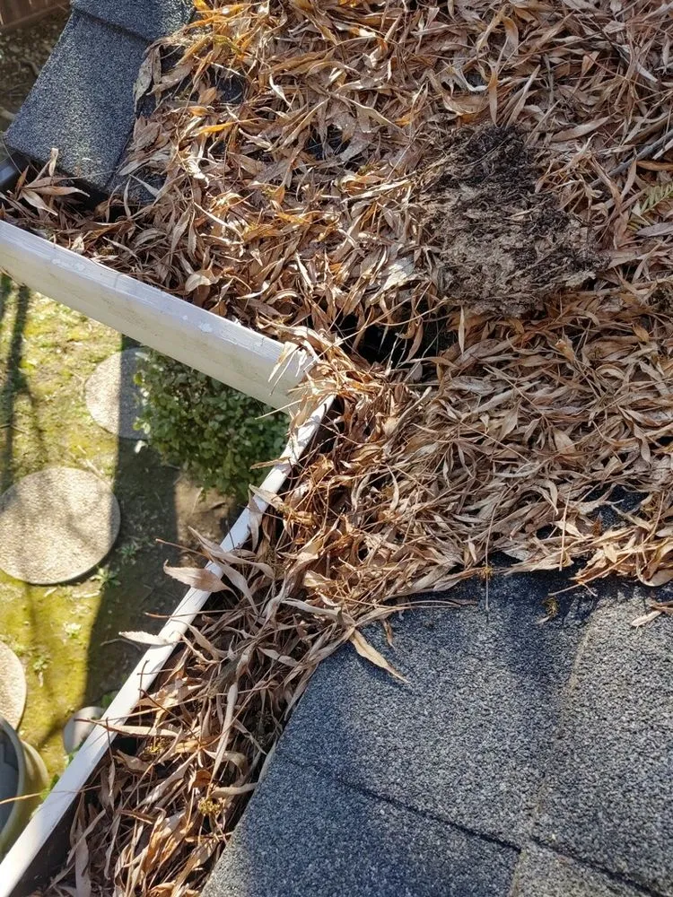 Trusted residential landscaping in Redding, CA by A&E Landscape and Hauling