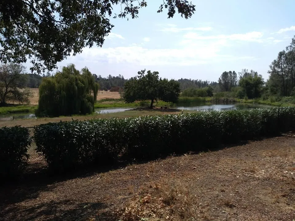 Expert residential landscaping for outdoor upgrades in Redding, CA by A&E Landscape and Hauling