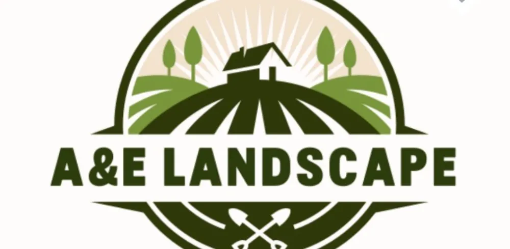 Affordable landscape design for outdoor upgrades across Las Vegas, NV - A&E Landscape and Trees